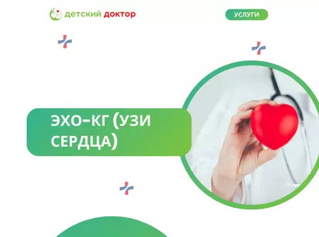 ЭХО-КГ (УЗИ сердца)